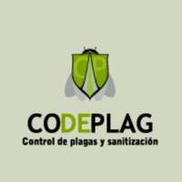 CODEPLAG