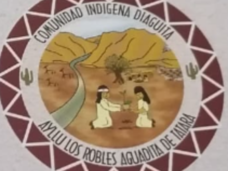 Logo personalizado Copiapó