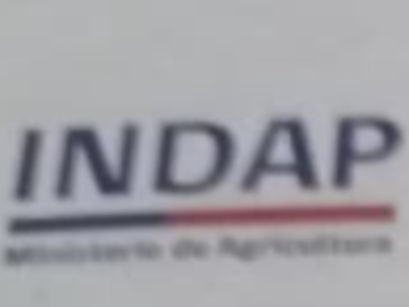 Logo Copiapó
