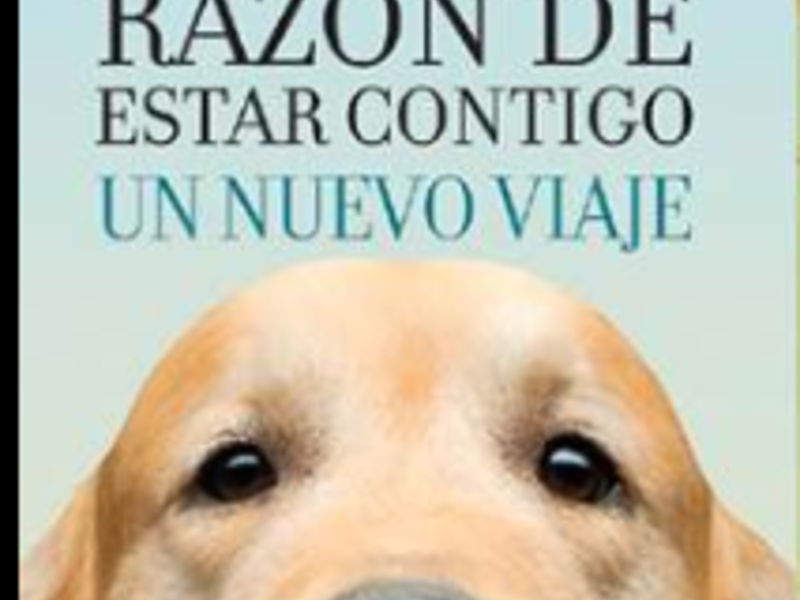 Texto Copiapó