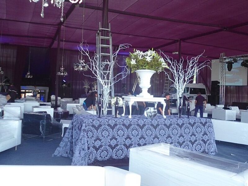 Carpa Matrimonio Chile