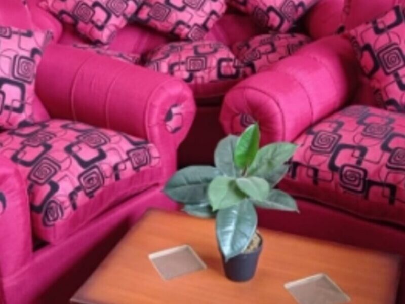 Sillones tapizados fucsia Chile