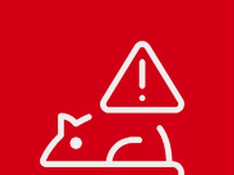 Desratización  Chile