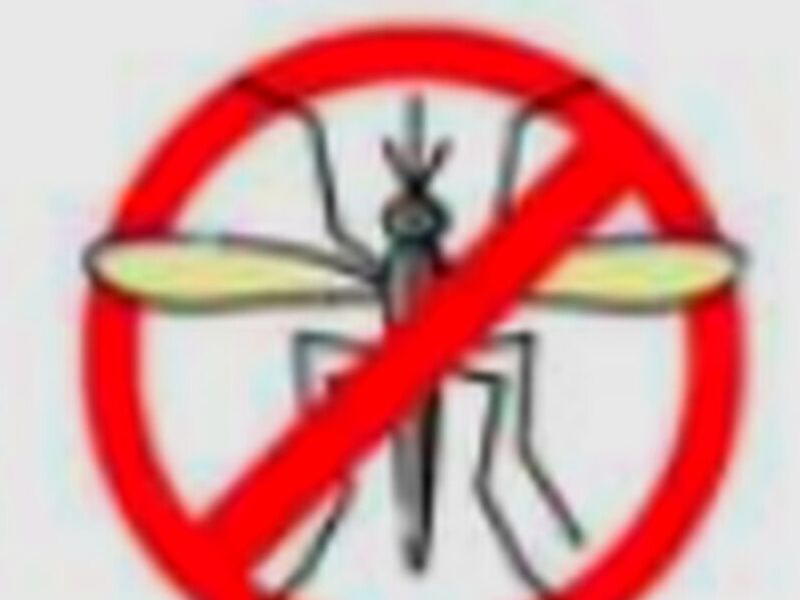 Control Insectos chile
