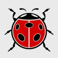 EMEX