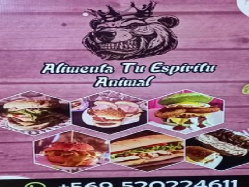 Palomas Publicitarias 