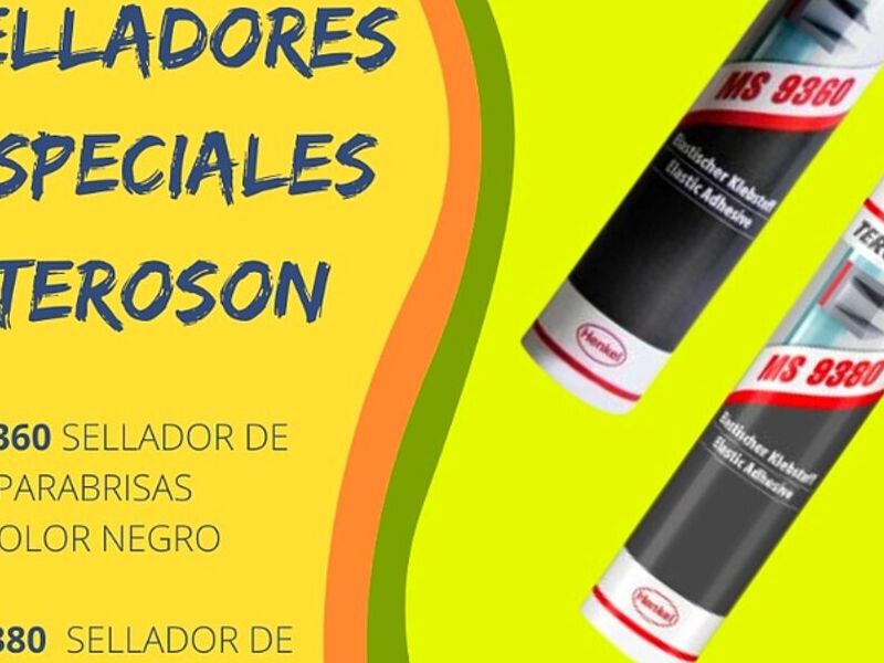 Sellador Especial Teroson Santiago