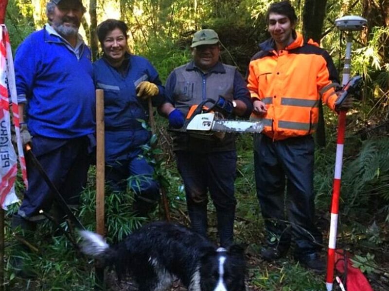 Reparticiones Estudios Títulos Puerto Montt