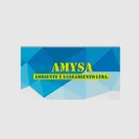 AMYSA CHILE