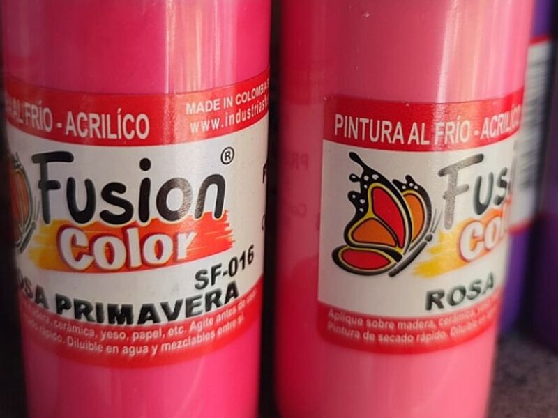 Pintura Rosa Primavera CHILE