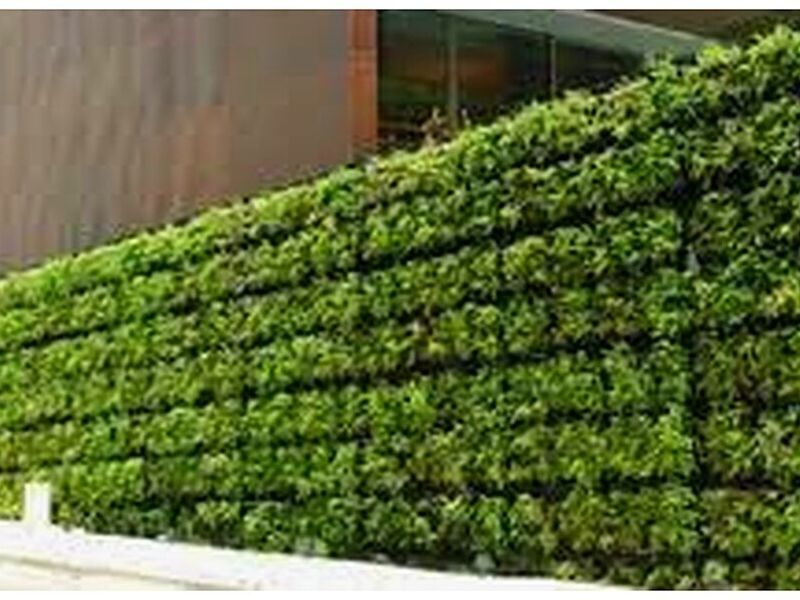 Muros vegetales Chile