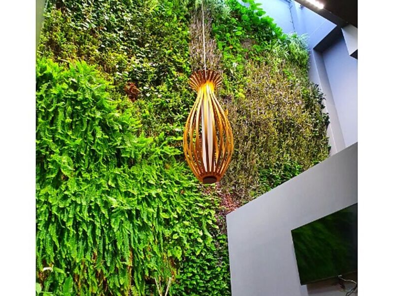 Paredes arte vegetal Chile
