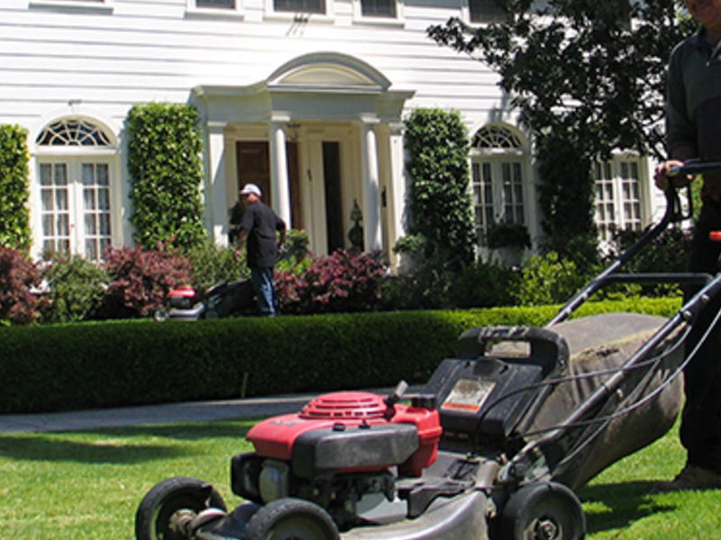 SERVICIO DE JARDINERÍA