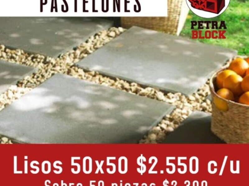 Pastelones liso Chile