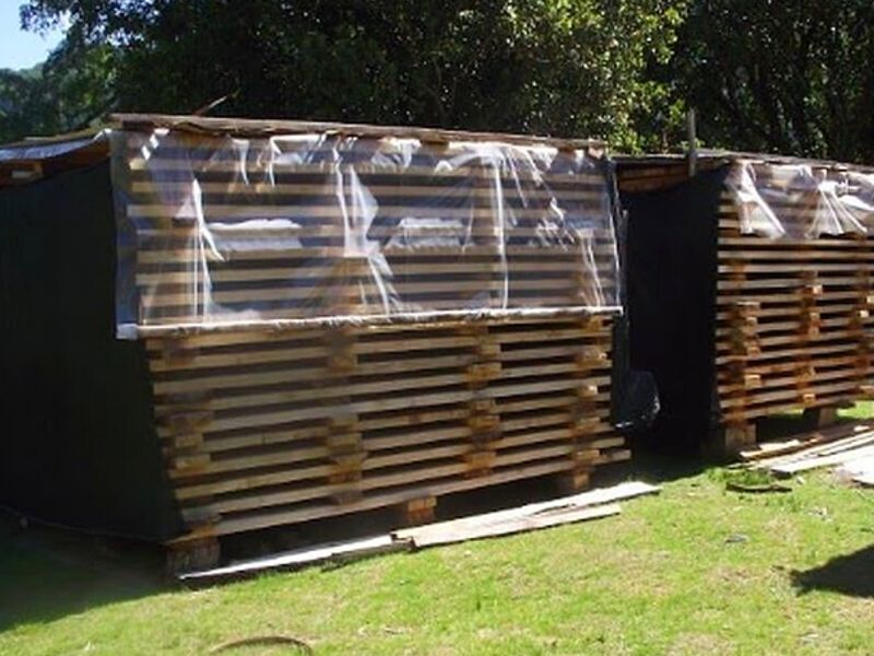 Pallet Madera Chile