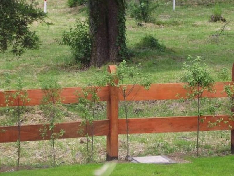 Madera Nativa Chile