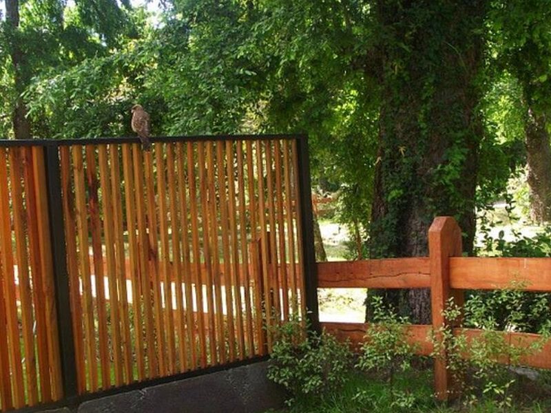 Palo Madera Chile