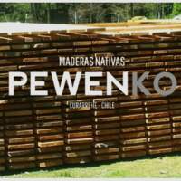 Pewenko