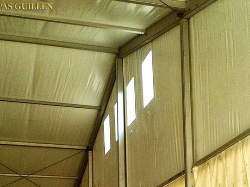 Carpa Beige Chile