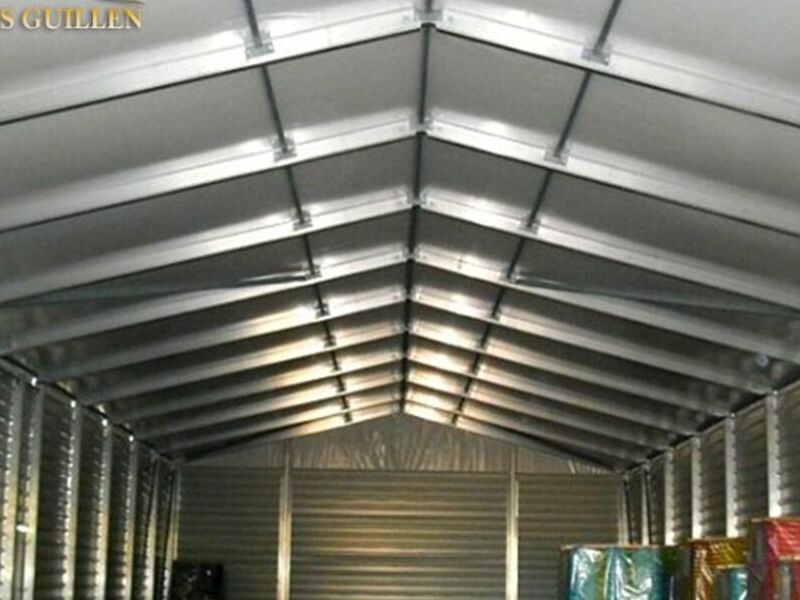 Carpa Ploma Chile