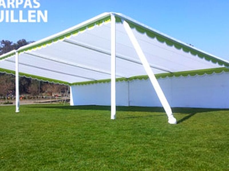 Carpa Blanca-Verde Chile