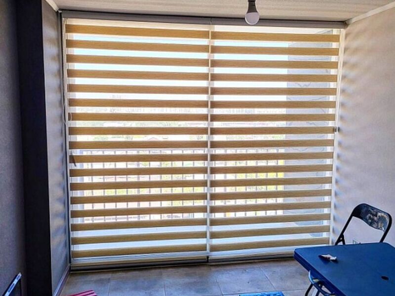 Zebra Amarilla Chile