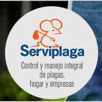 Serviplaga Viña del Mar