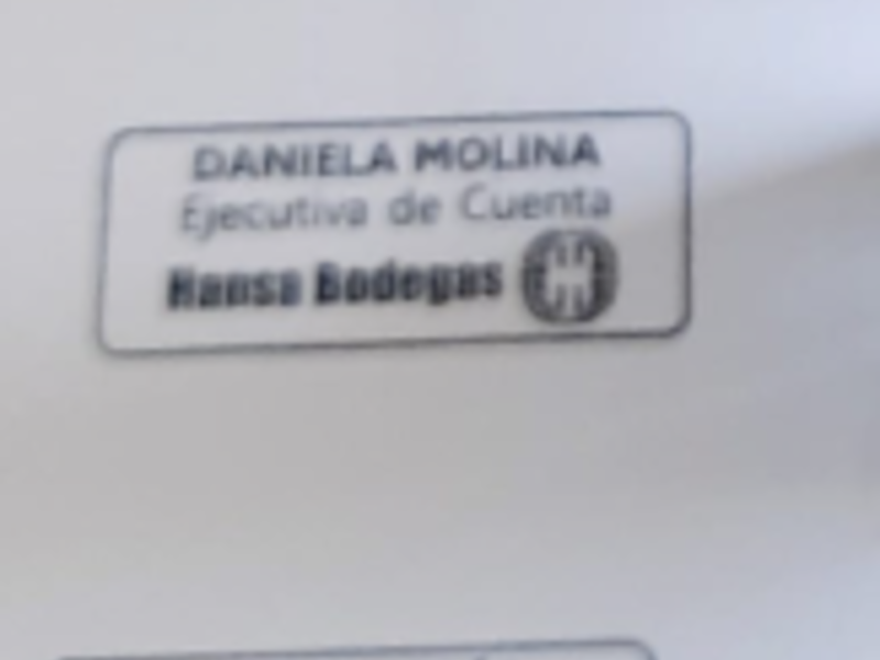 Logo personalizado Antofagasta