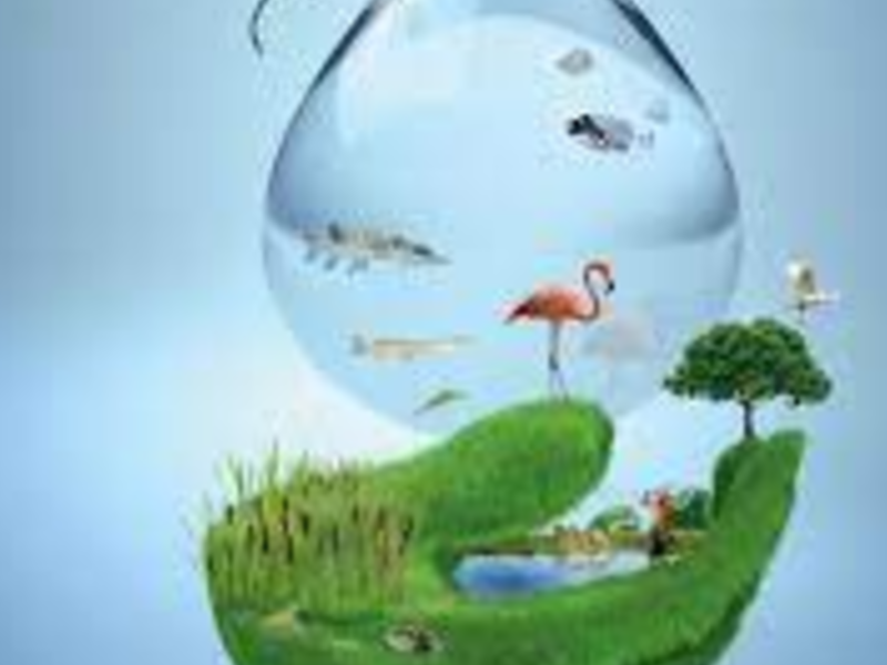 SERVICIOS AMBIENTALES CHILE