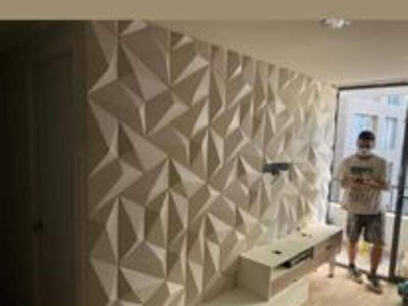 Panel 3D 2 México