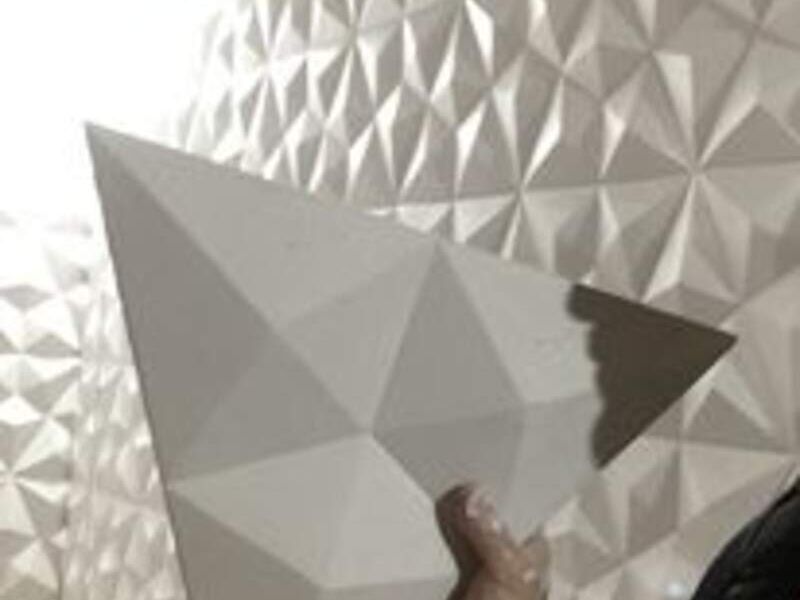 Panel 3D 8 México