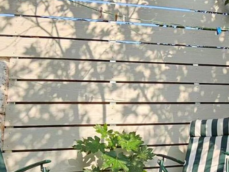Deck madera muro exterior México