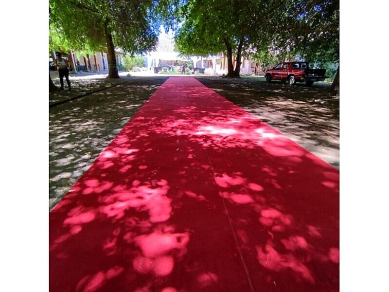 Alfombra Roja Moderna de Diseño Geométrico