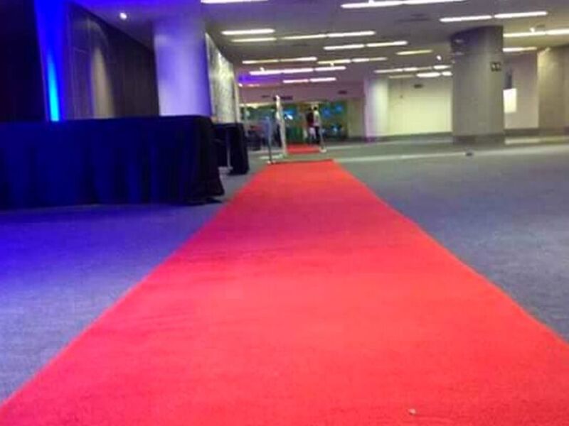 Alfombra Roja de Felpa para Interiores