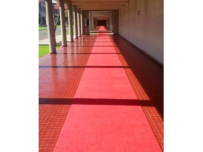 Alfombra Roja Ecológica y Sostenible