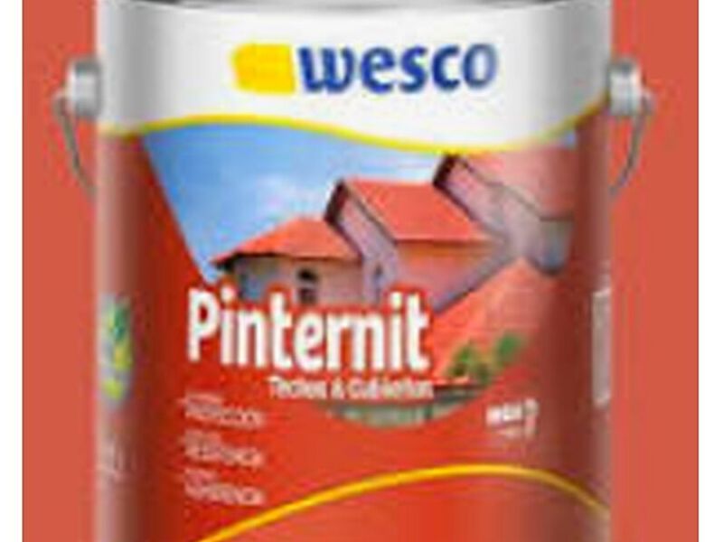 Pintura techos Chile 