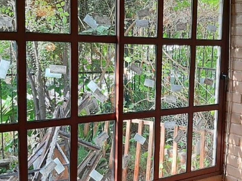 Ventana Madera Chile