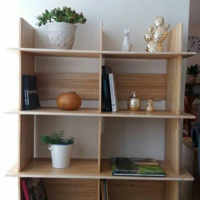 Paulownia Store Arica