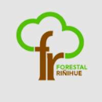 Forestal Riñihue