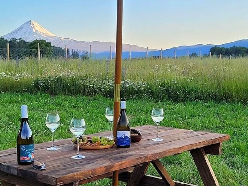 Mesa picnic Chile