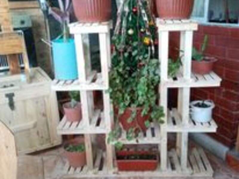 Jardines Verticales Chile 