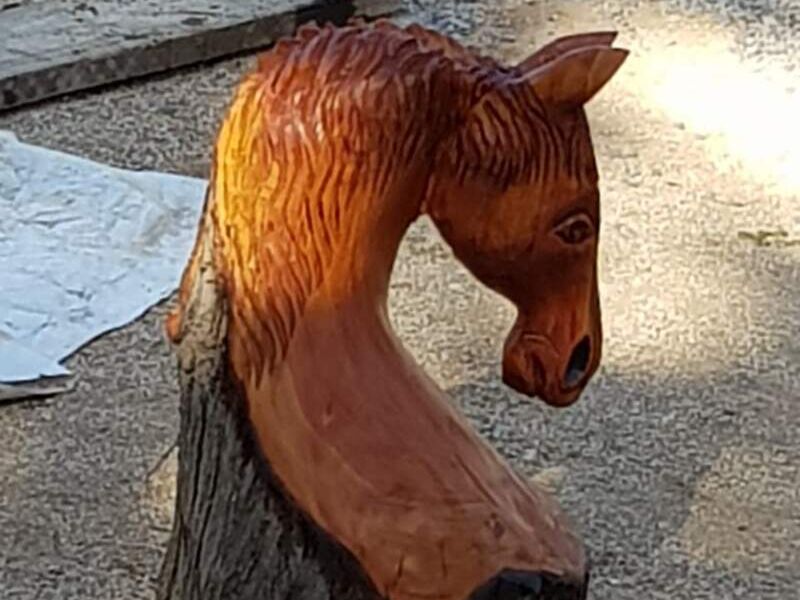 Cabeza Caballo Chile 