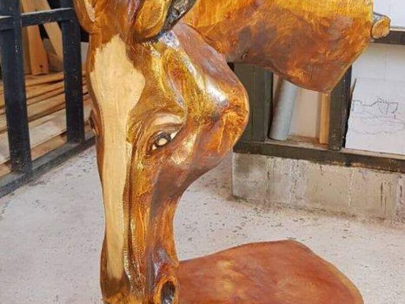Cabeza Caballo 2 Chile 