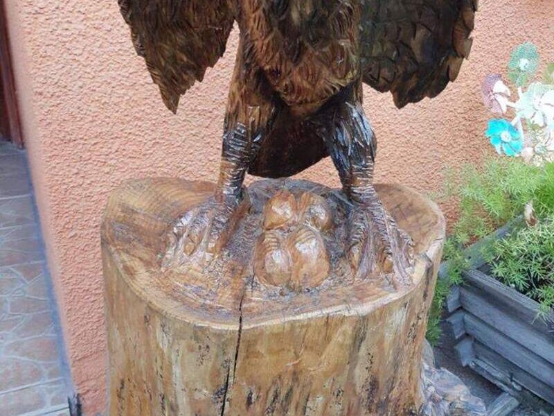 Aguila Chile 
