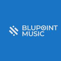 BLUPOINT MUSIC