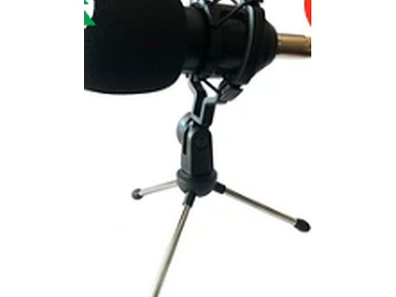 Micrófono Condensador Rhino Studio
