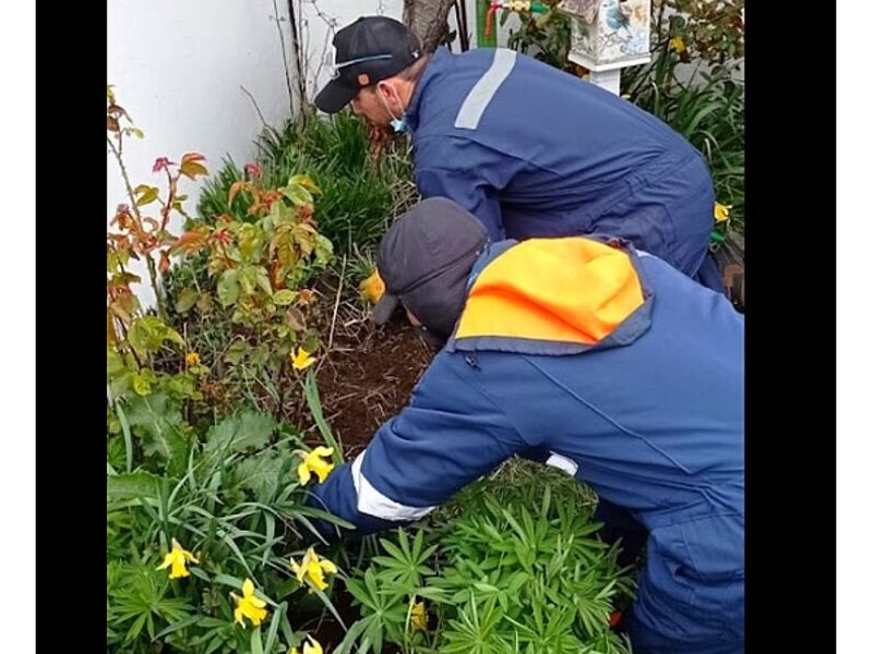 Diseño Jardines Punta Arenas