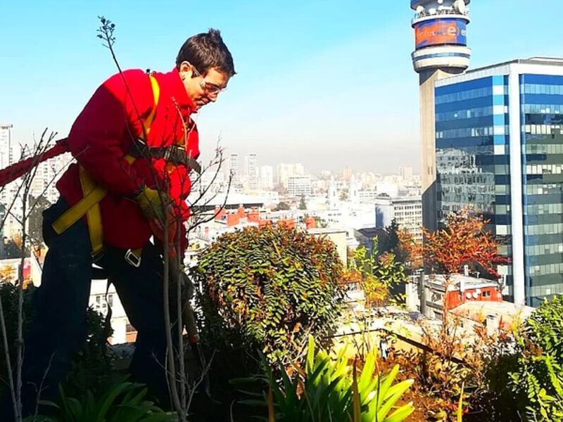 Construcción Jardines Punta Arenas