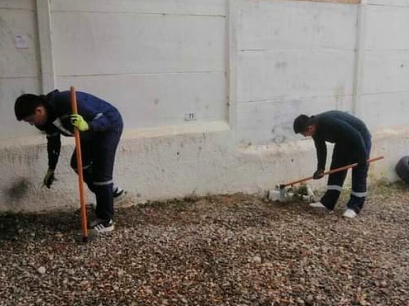 Diseño Jardines La Serena