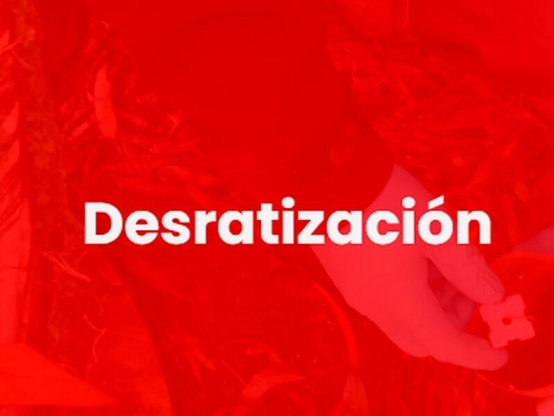 Desratización  Chile